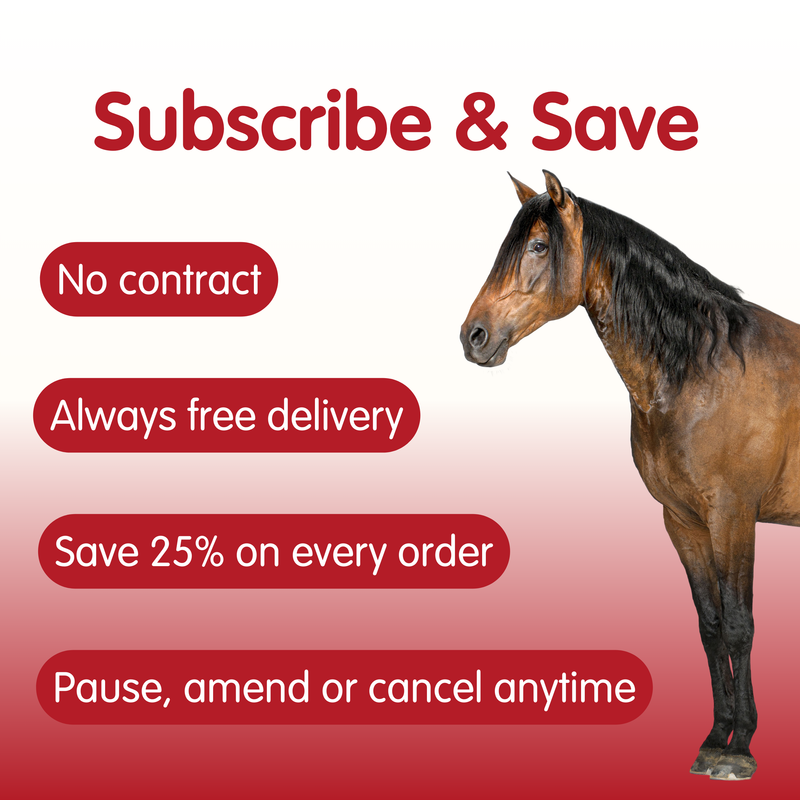Suppleaze VS | Ultimate Equine Joint Supplement