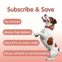 Salmon Oil Plus | Coat and Skin Supplement for Dogs