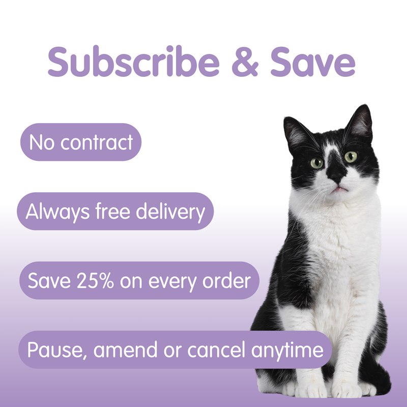 TUMMYTONIC Feline Digestive Supplement for Cats