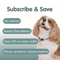 Flea, Tick &amp; Worm Tonic | Supplement For Dogs