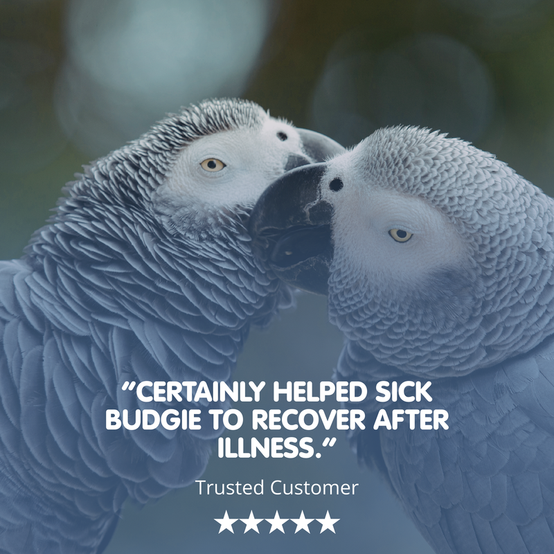 PROLYTE C Probiotic Cage &amp; Aviary Bird Recovery Supplement