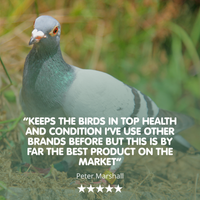 AVIFORM ULTIMATE MAX Complete Supplement for Racing Pigeons