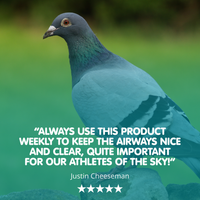 MYCOFORM-T Racing Pigeon Respiratory