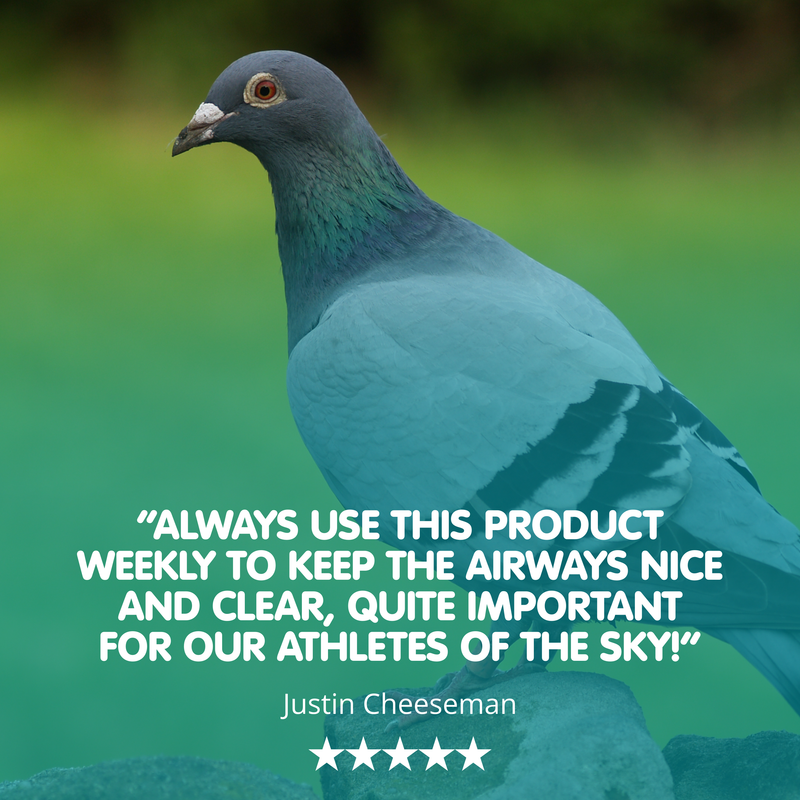 MYCOFORM-T Racing Pigeon Respiratory
