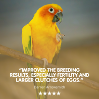 Fetura-12 Liquid Breeding and Immunity Supplement for Cage And Aviary Birds