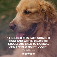 Tummytonic® | New Formula Penta-biotic® Digestive Supplement for Dogs