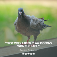 ROCKETFUEL MCT Energy Oil for Racing Pigeons