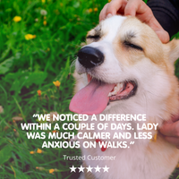 Natural Calm | Calming Supplement for Dogs