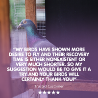 RAPIDE ForteX4 Stamina, Endurance, Recovery and Immunity Supplement for Racing Pigeons