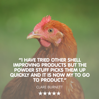 SHELL STUFF! Powder Calcium for Chickens