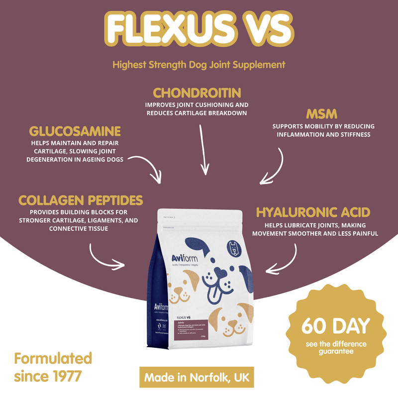 Flexus VS | Ultimate Dog Hip and Joint Supplement