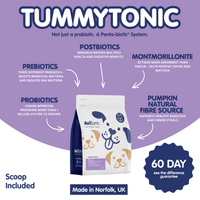 Tummytonic® | New Formula Penta-biotic® Digestive Supplement for Dogs