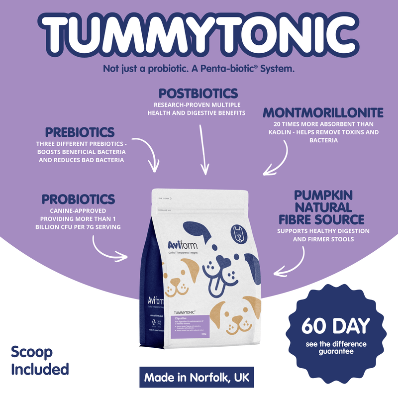 Tummytonic® | New Formula Penta-biotic® Digestive Supplement for Dogs