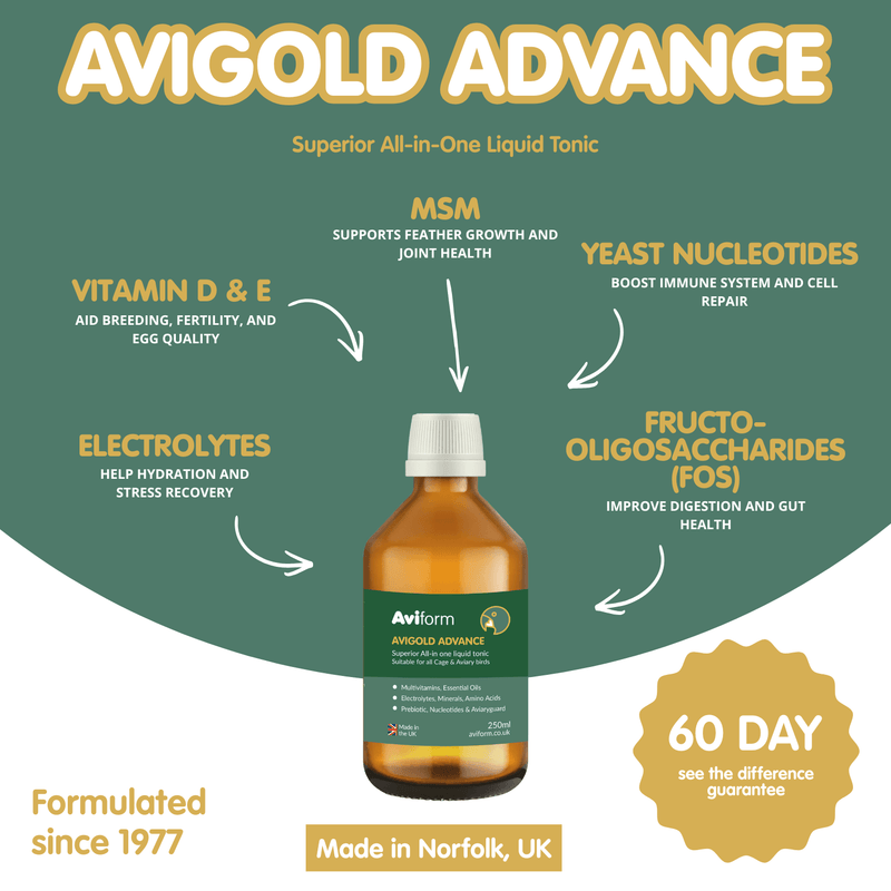 AVIGOLD ADVANCE All-in-One Cage &amp; Aviary Bird Tonic