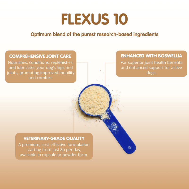 Flexus 10 | Premium Hip and Joint Supplement for Dogs