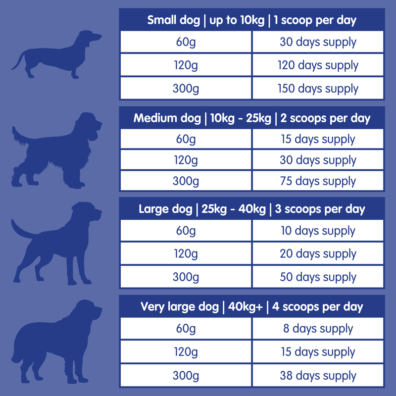 Daily Doggy Dental | Canine Oral Care