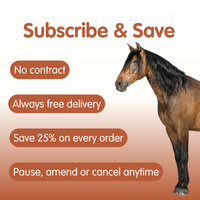 Glucosamine Hydrochloride | Equine Joint Supplement
