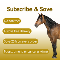 MSM | Pure Joint Care Supplement for Horses