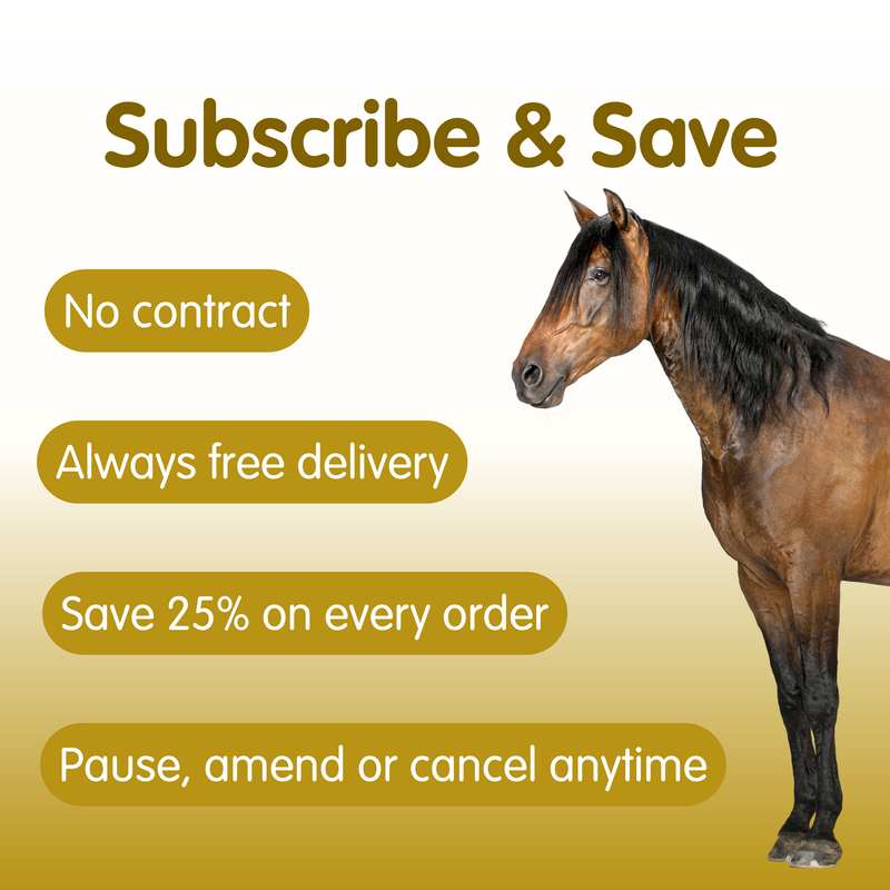 MSM | Pure Joint Care Supplement for Horses