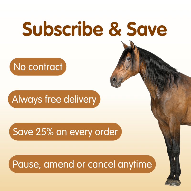 Mobileaze EQ | Bute Substitute for Horses