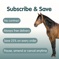 Build Up | Equine Muscle Builder