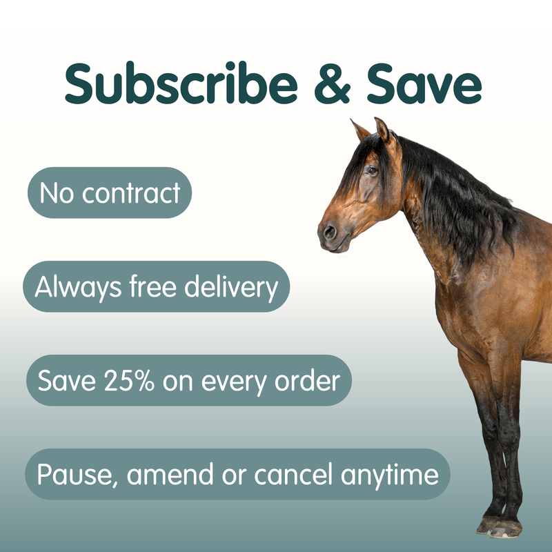 Build Up | Equine Muscle Builder