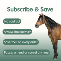 Pro-Choice Gold | Triple Synergy Equine Digestive &amp; Health Supplement