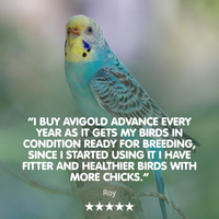 AVIGOLD ADVANCE All-in-One Cage &amp; Aviary Bird Tonic