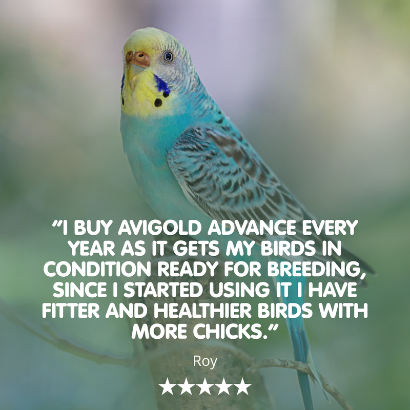 AVIGOLD ADVANCE All-in-One Cage &amp; Aviary Bird Tonic