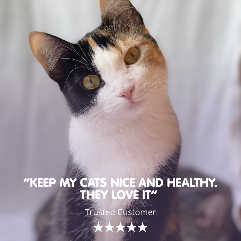 TUMMYTONIC Feline Digestive Supplement for Cats