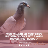 ERADI-MITE Red Mite Liquid for Racing Pigeons