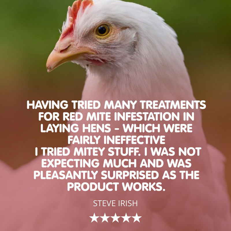 Mitey Stuff! Red Mite Liquid Supplement for Chickens