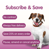 MontyTummy | Digestive Suspension Supplement for Dogs