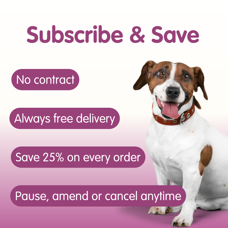 MontyTummy | Digestive Suspension Supplement for Dogs