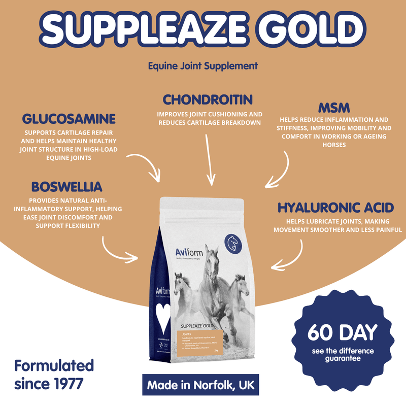 Suppleaze Gold | Horse Joint Supplement