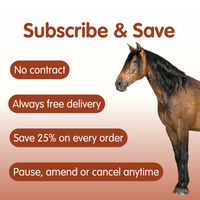 Suppleaze Ultraflex | Equine Joint Supplement