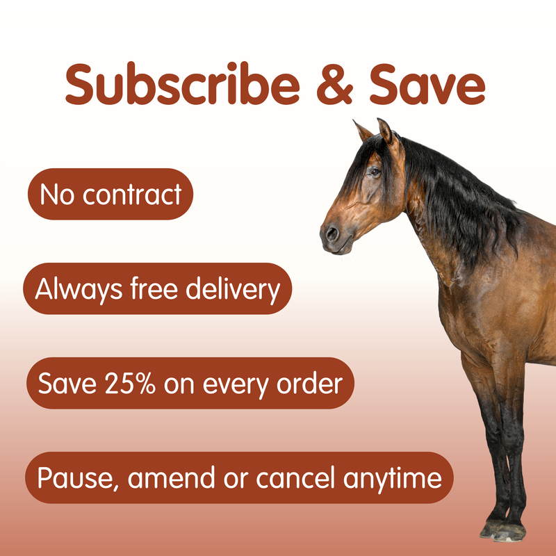 Suppleaze Ultraflex | Equine Joint Supplement