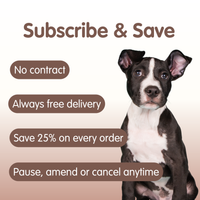 Vitalcoat | Dog Coat and Skin Conditioner