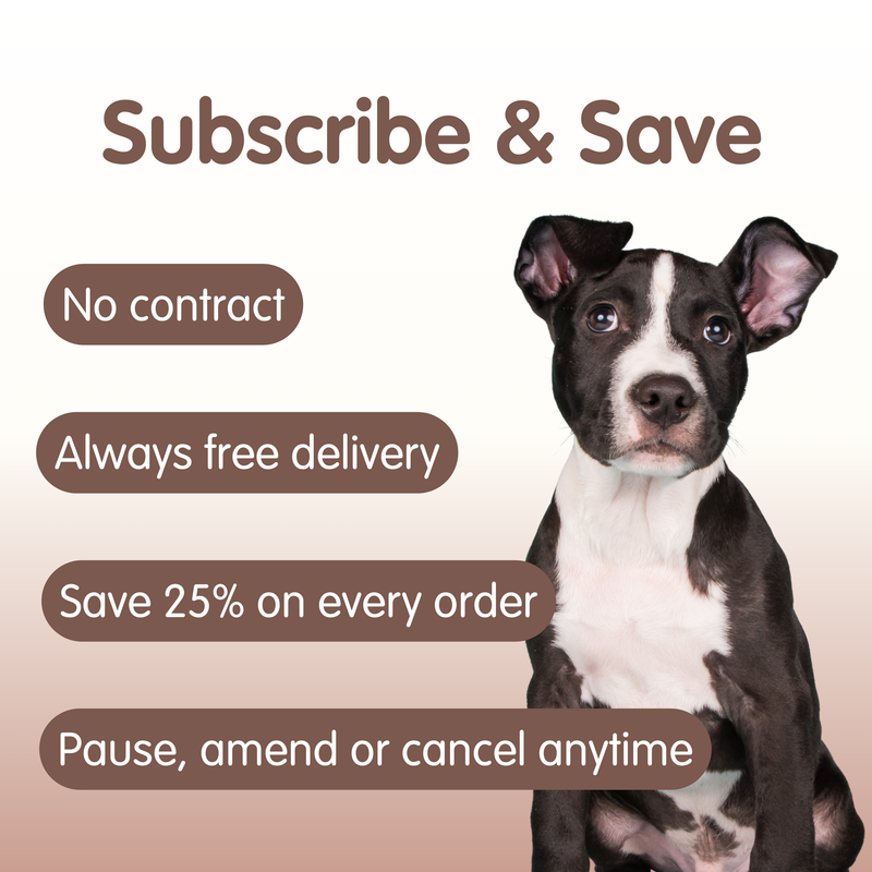 Vitalcoat | Dog Coat and Skin Conditioner