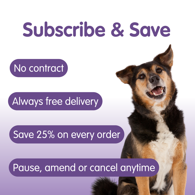 Tummytonic® | New Formula Penta-biotic® Digestive Supplement for Dogs