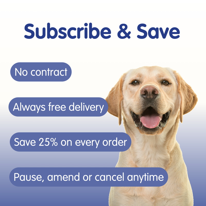 Daily Doggy Dental | Canine Oral Care