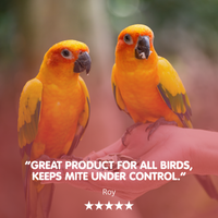 AVI-MITE Cage and Aviary Bird Red Mite Supplement