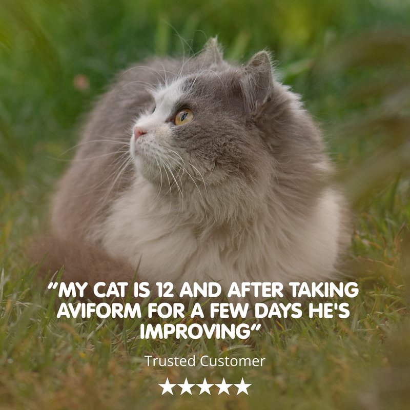 FLEXUS 10 Feline Premium Cat Joint Supplement