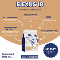 Flexus 10 | Premium Hip and Joint Supplement for Dogs