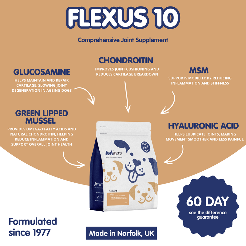 Flexus 10 | Premium Hip and Joint Supplement for Dogs