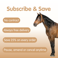 Suppleaze Gold | Horse Joint Supplement