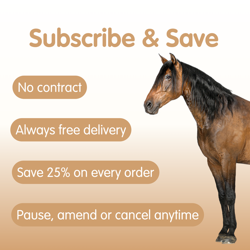 Suppleaze Gold | Horse Joint Supplement