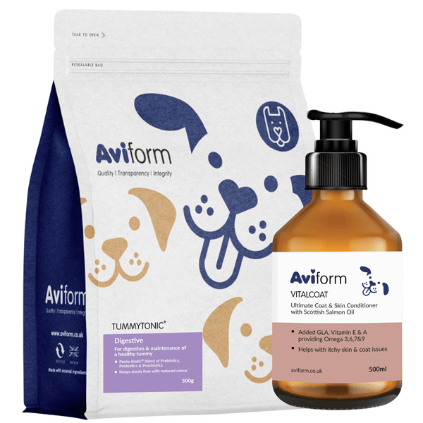 Allergy & Itch Bundle for Dogs | Medium