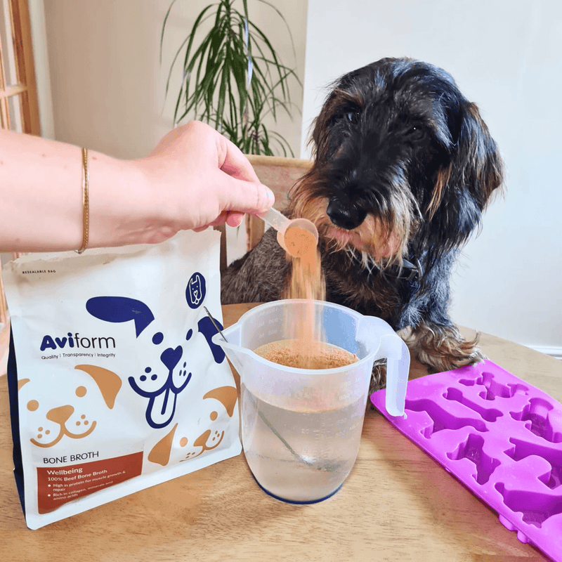 Beef Bone Broth | Powder Supplement for Dogs