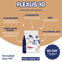 Flexus 10 | Premium Hip and Joint Supplement for Dogs